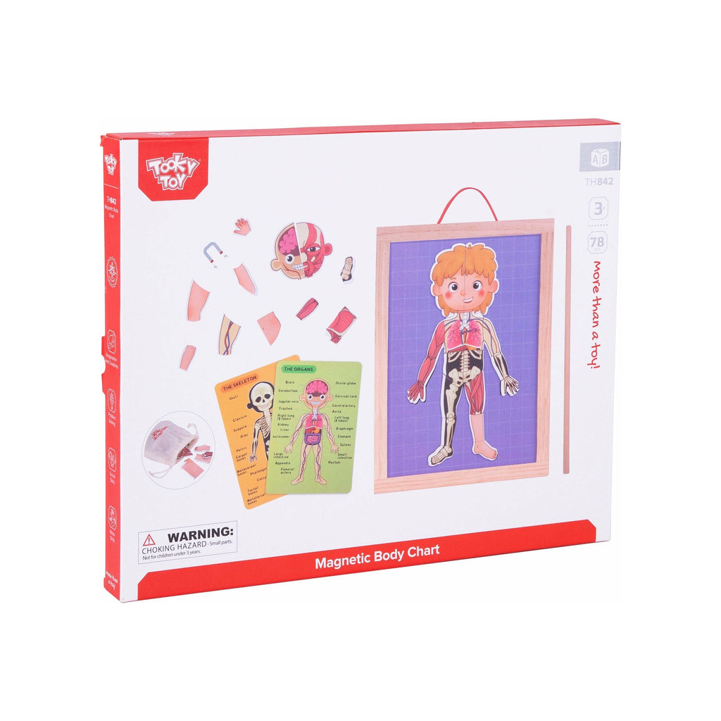 Tooky Toy Magnetic Body Chart Age-3 Years & Above