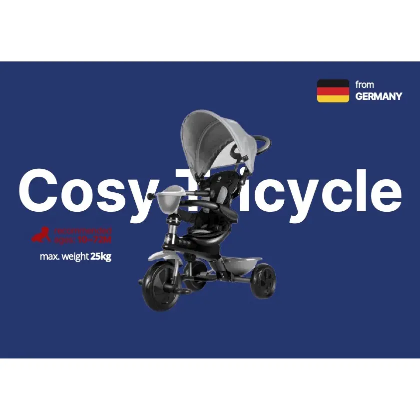 QPlay Cosy 4-in-1 Tricycle 8811 Blue Age- 2 Years to 6 Years