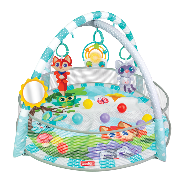 Winfun PlaySpace Play Gym and Ball Pit(710000) Age- Newborn & Above