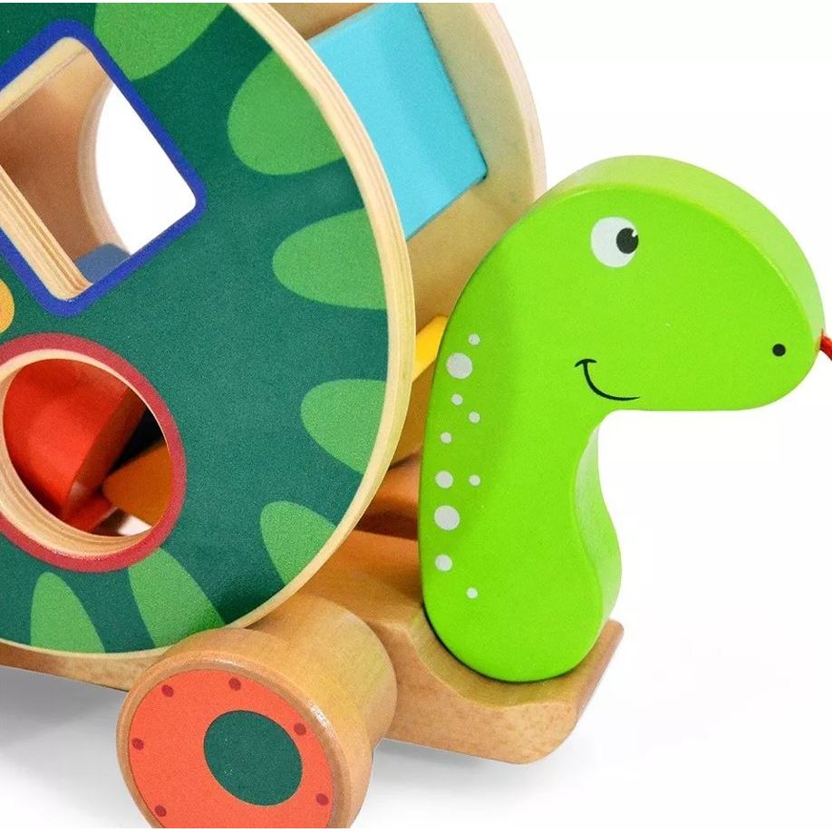 Acool Toys Turtle Pullalong Shape Sorter Multicolor Age- 18 Months & Above