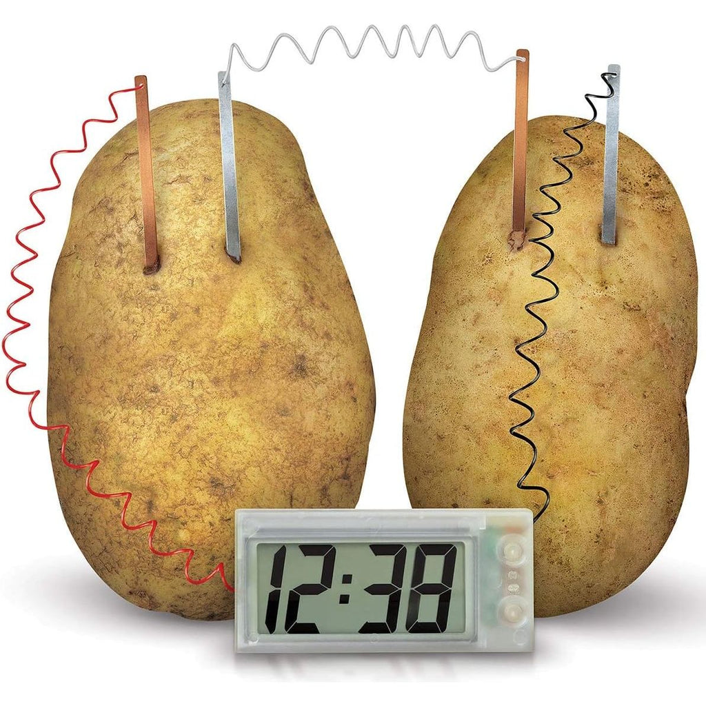 4M Green Science Potato Clock Age- 8 Years & Above