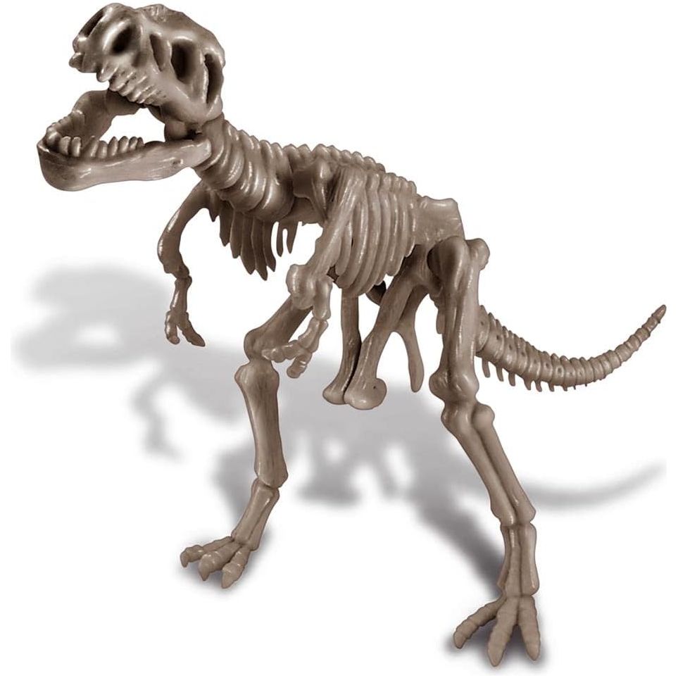 4M Kidz Labs Dig A T-Rex Skeleton Age- 8 Years & Above
