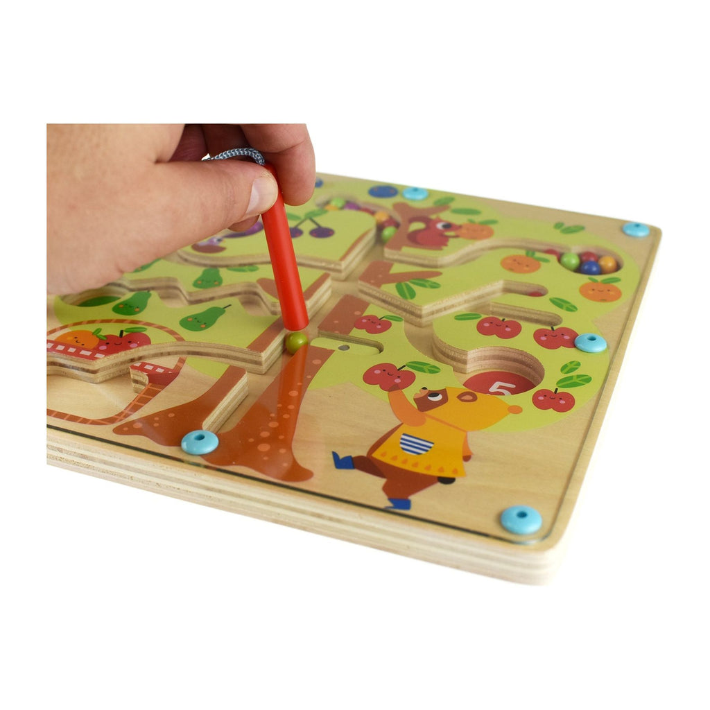 Tooky Toy Magnetic Counting Fruit Ball Maze Tree  Multicolor Age- 3 Years & Above